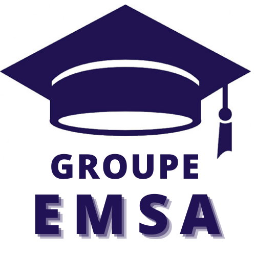 Groupe EMSA